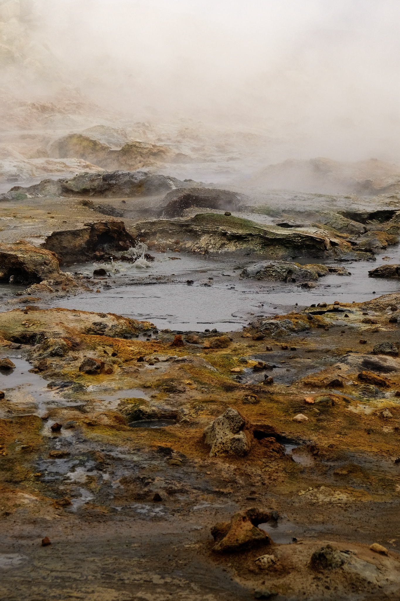 Multi-coloured mineral deposits on rocks with a boiling puddle of water in a geothermal area in Iceland