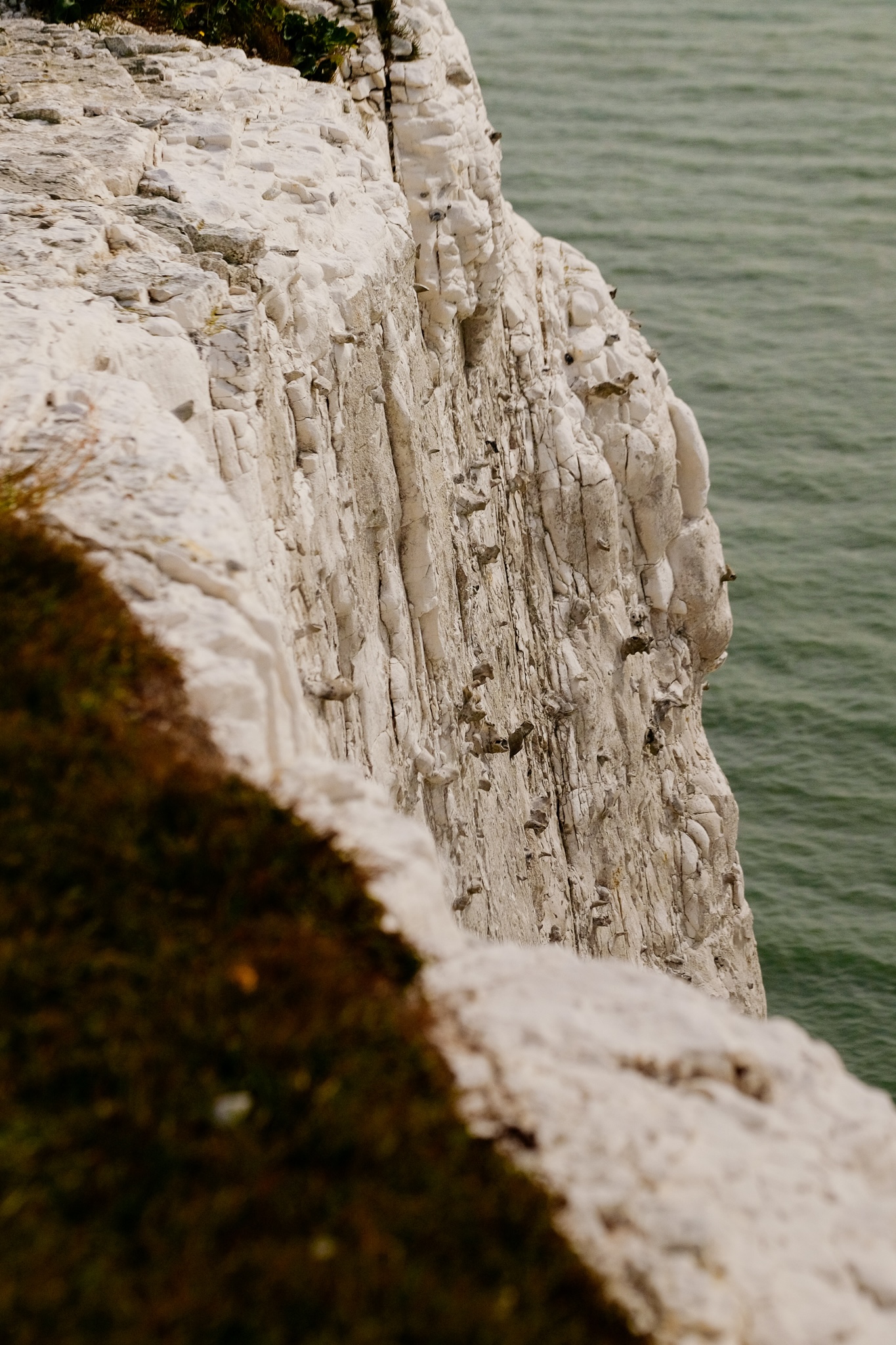 Close up of the white cliffs of Dover with a greeen-turquoise sea. Some edges of the cliff rounded off from the wind and rain over many years.