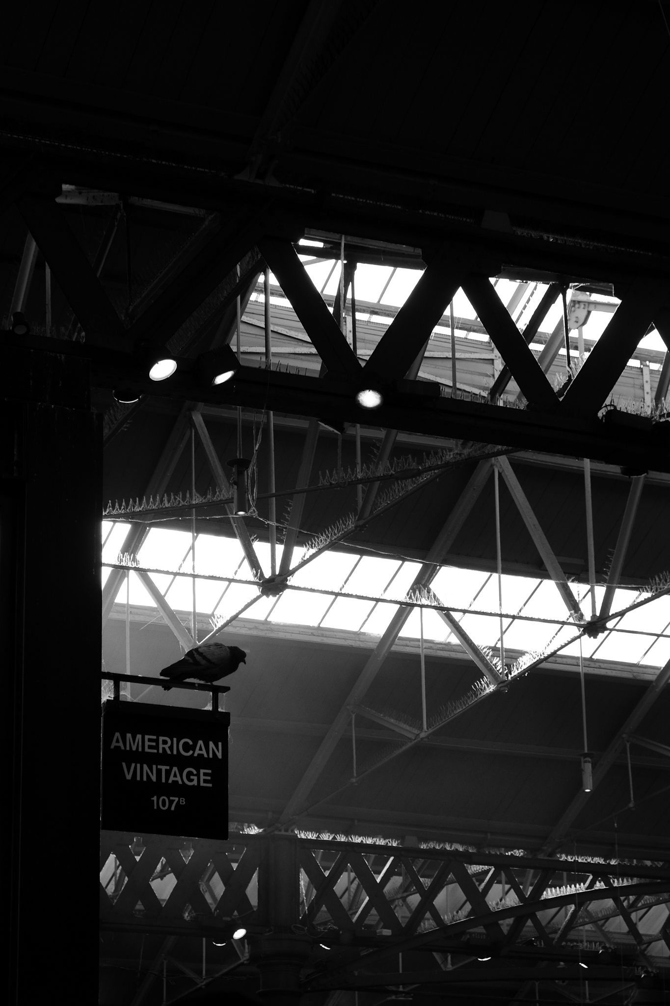 Black and white image of the roof inside Spitalfields market. A bird sits on the only horizontal surface in sight with no anti-bird spikes on it; and the suns rays shine in from the glass windows.