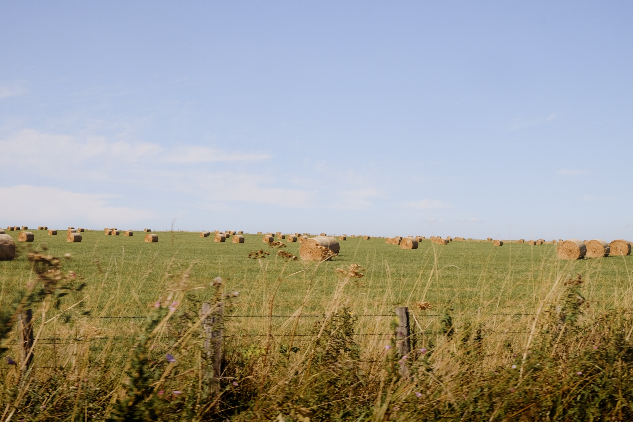 Haybales on green grass field with blue sky from a car