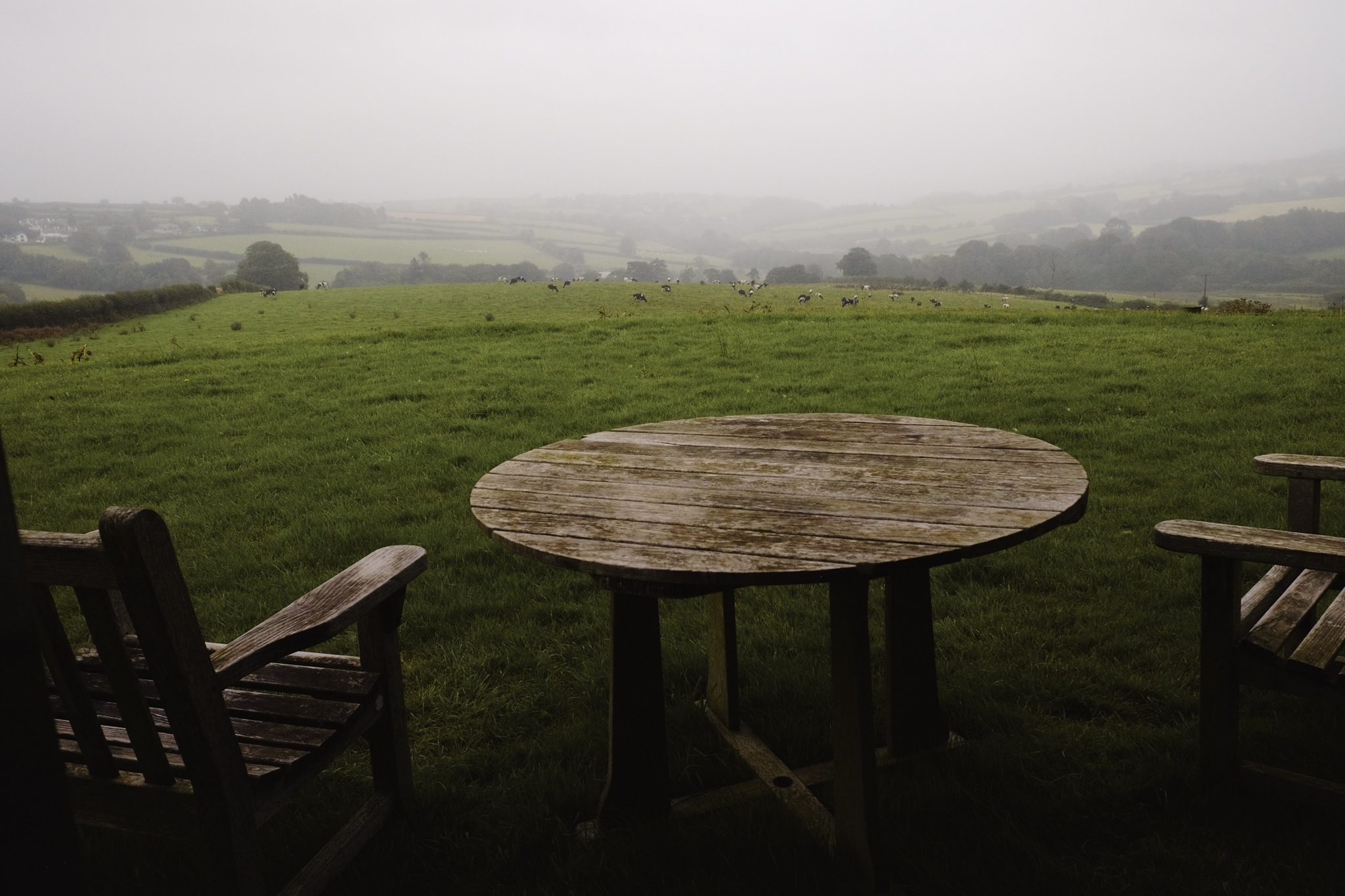 Wooden table and chair looking out over misty cornwall farm land with cows grazing in the distance