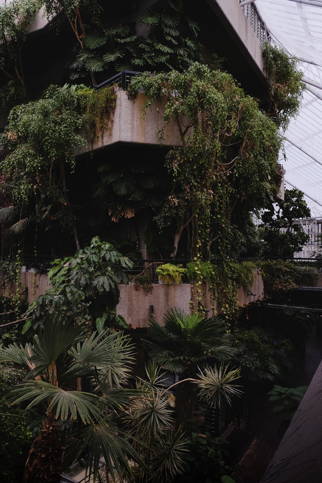 Green and orange plants overflowing concrete