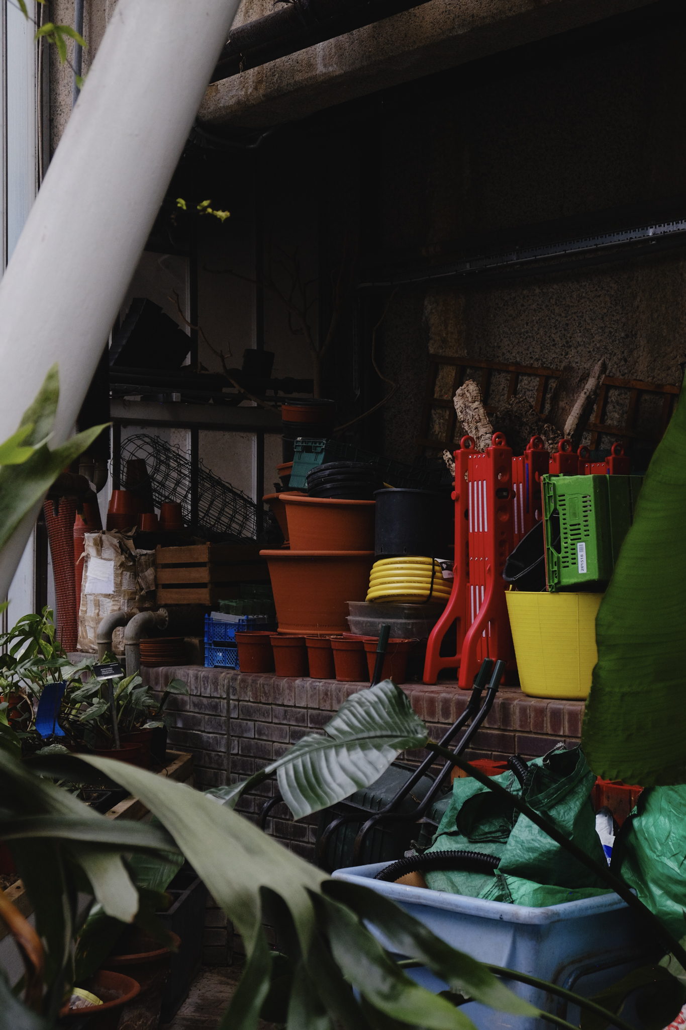 Fertilizer and gardening tools in a corner of the conservatory