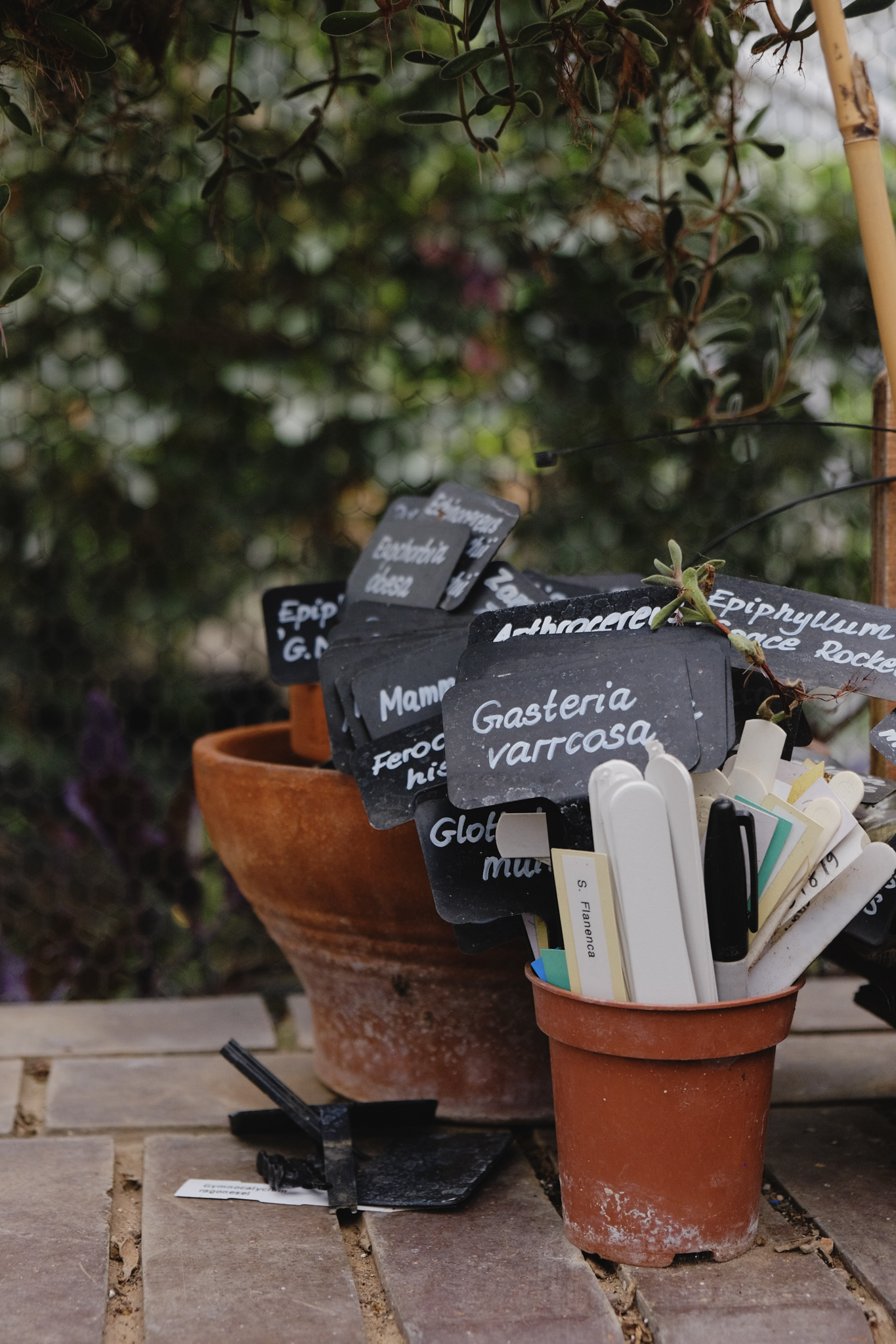 Plant labels stacked in an empty plant pots