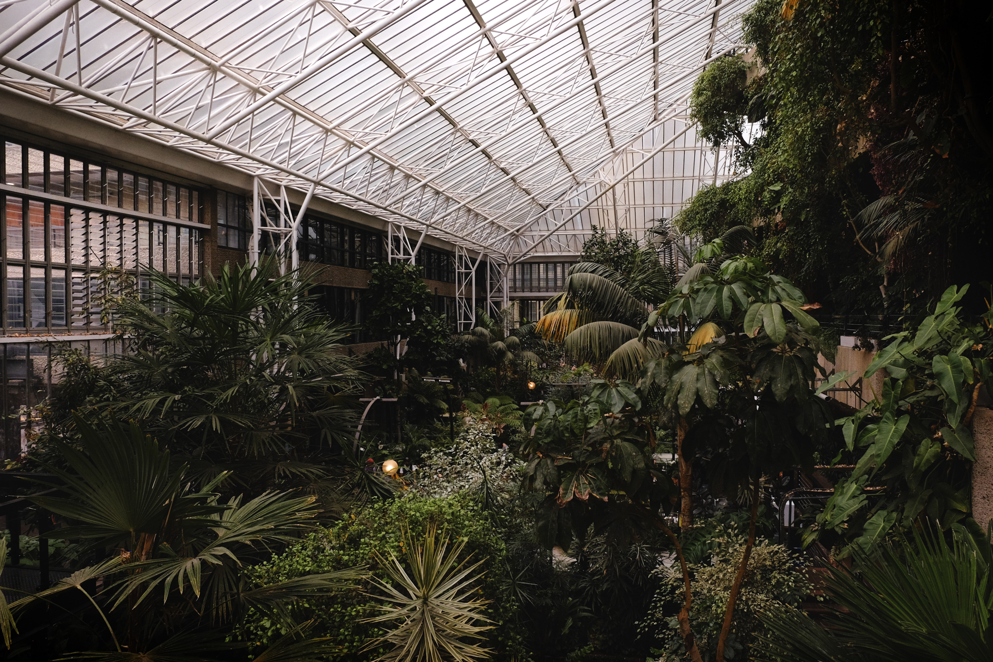 A Wide angle of green, some yellow and orange plants in the conservatory on an overcast day